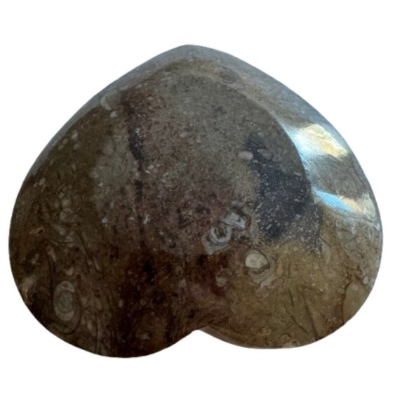 Ammonites and Orthoceras Fossil Heart Shape Dish | Small | NWT - Picture 3 of 5